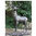 Large Standing Garden Stag Ornament