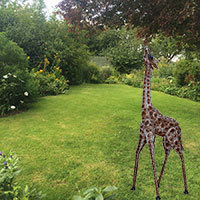 Small Garden Giraffe Metal Sculpture