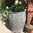 Galvanised Plant Pot Holder For Garden Dolly Tub
