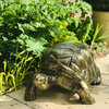 Medium Sized Metal Tortoise Garden Sculpture
